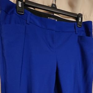 Express Columnist Dress pants
